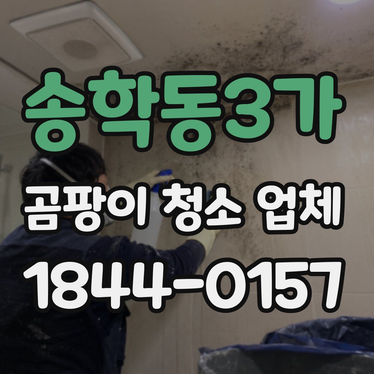 송학동3가 곰팡이 청소 업체