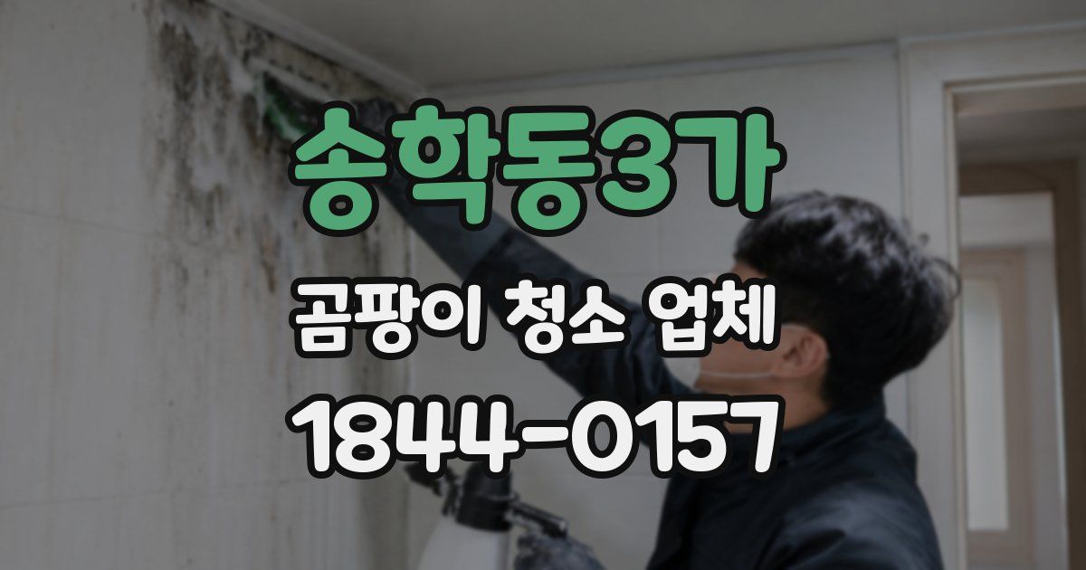 송학동3가 곰팡이 청소 업체