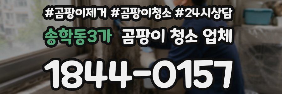 송학동3가 곰팡이 청소 업체