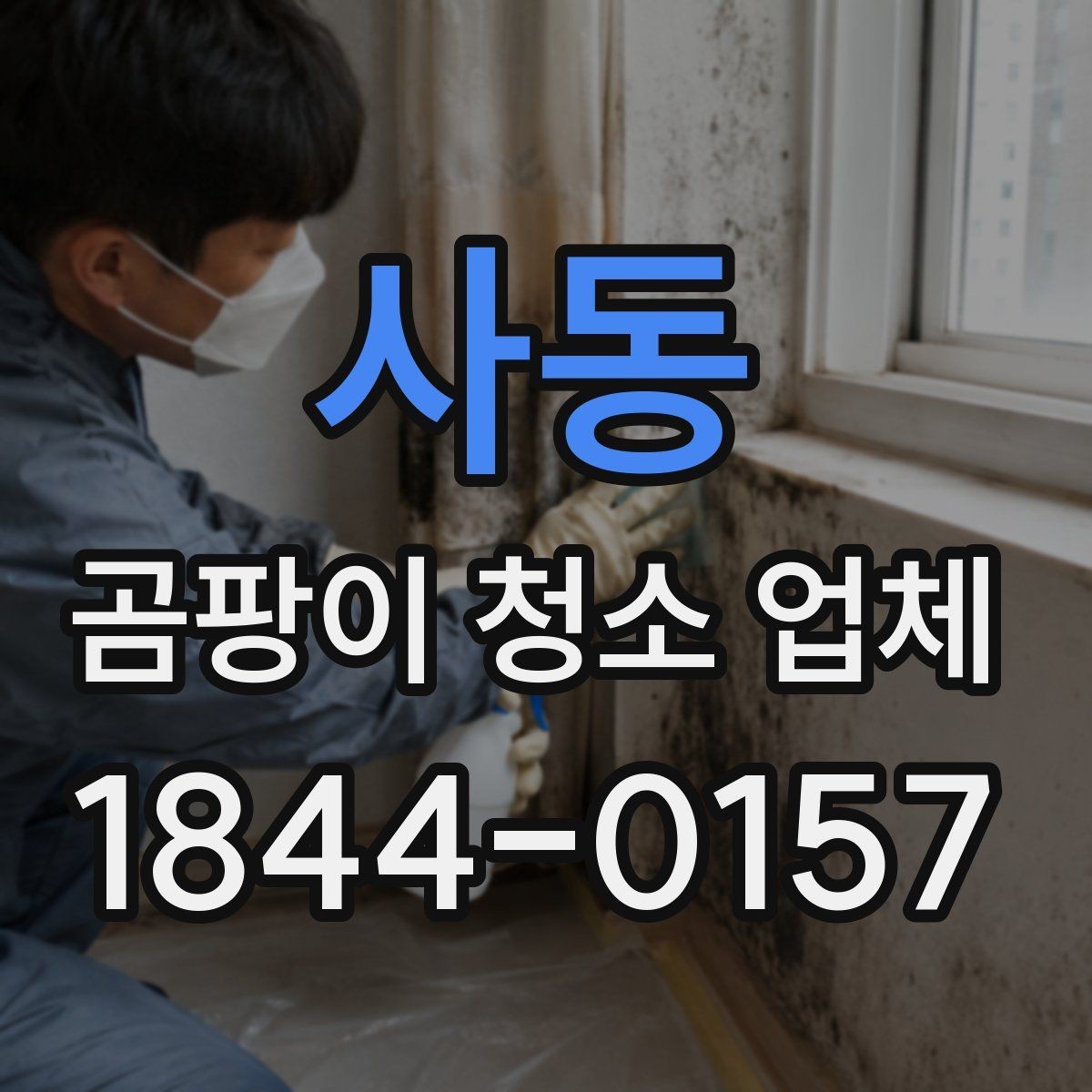 사동 곰팡이 청소 업체 폐기물 반출과 마지막 정리 절차