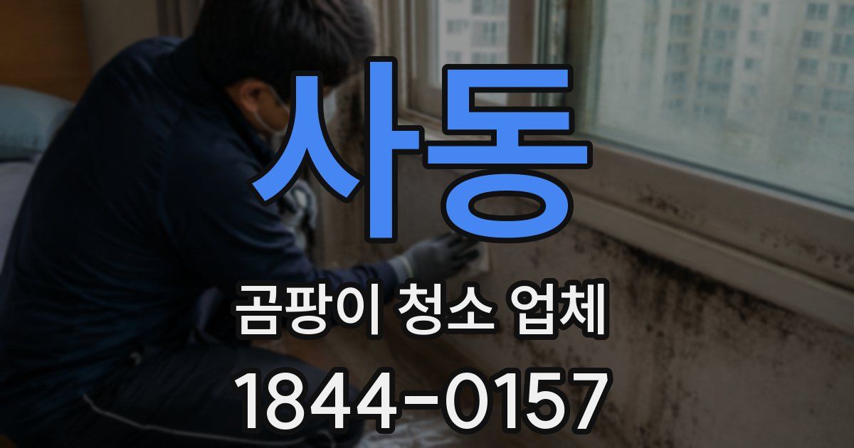 사동 곰팡이 청소 업체