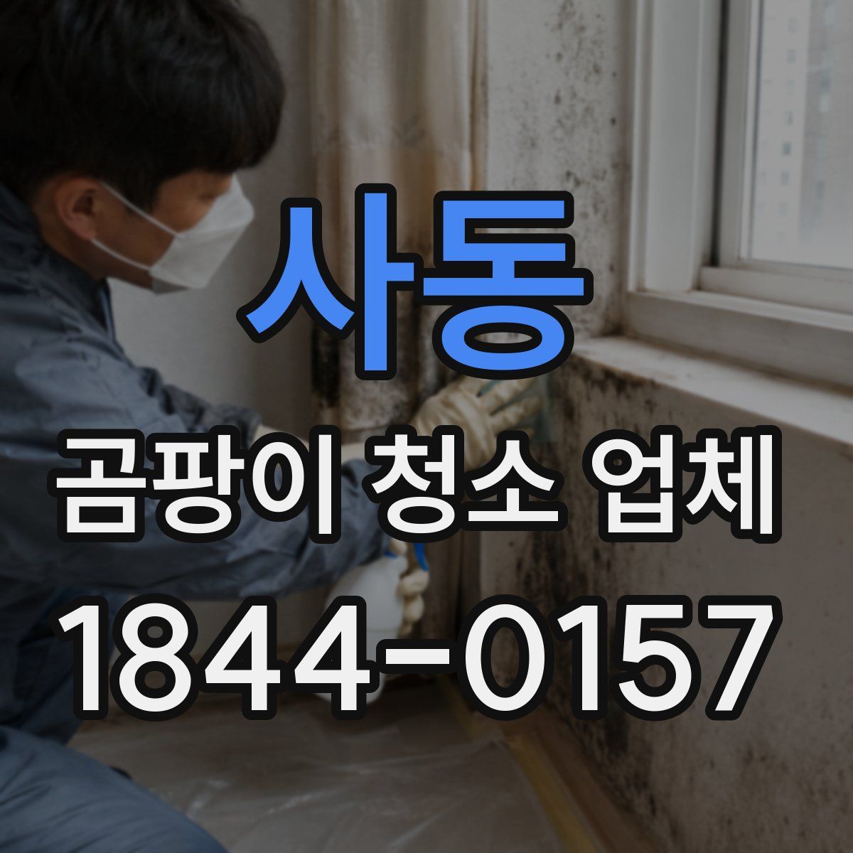 사동 곰팡이 청소 업체