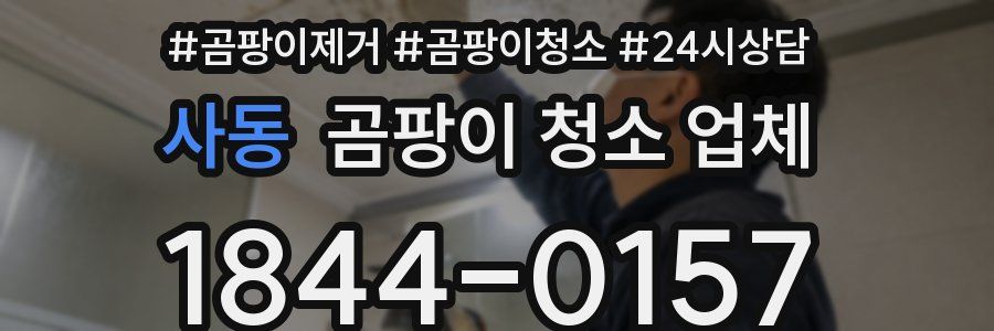 사동 곰팡이 청소 업체