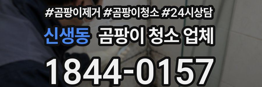 신생동 곰팡이 청소 업체