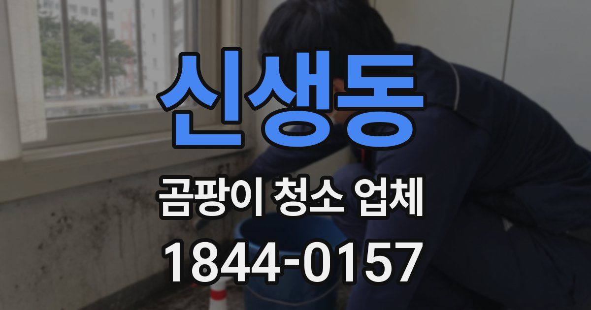 신생동 곰팡이 청소 업체