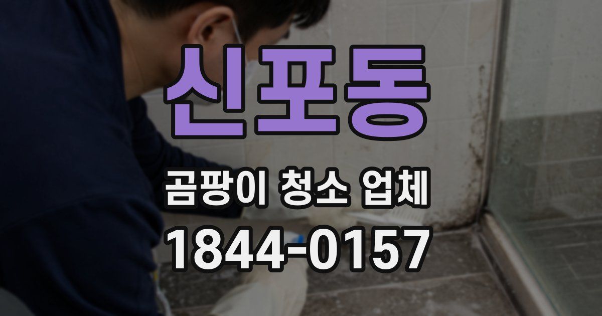 신포동 곰팡이 청소 업체