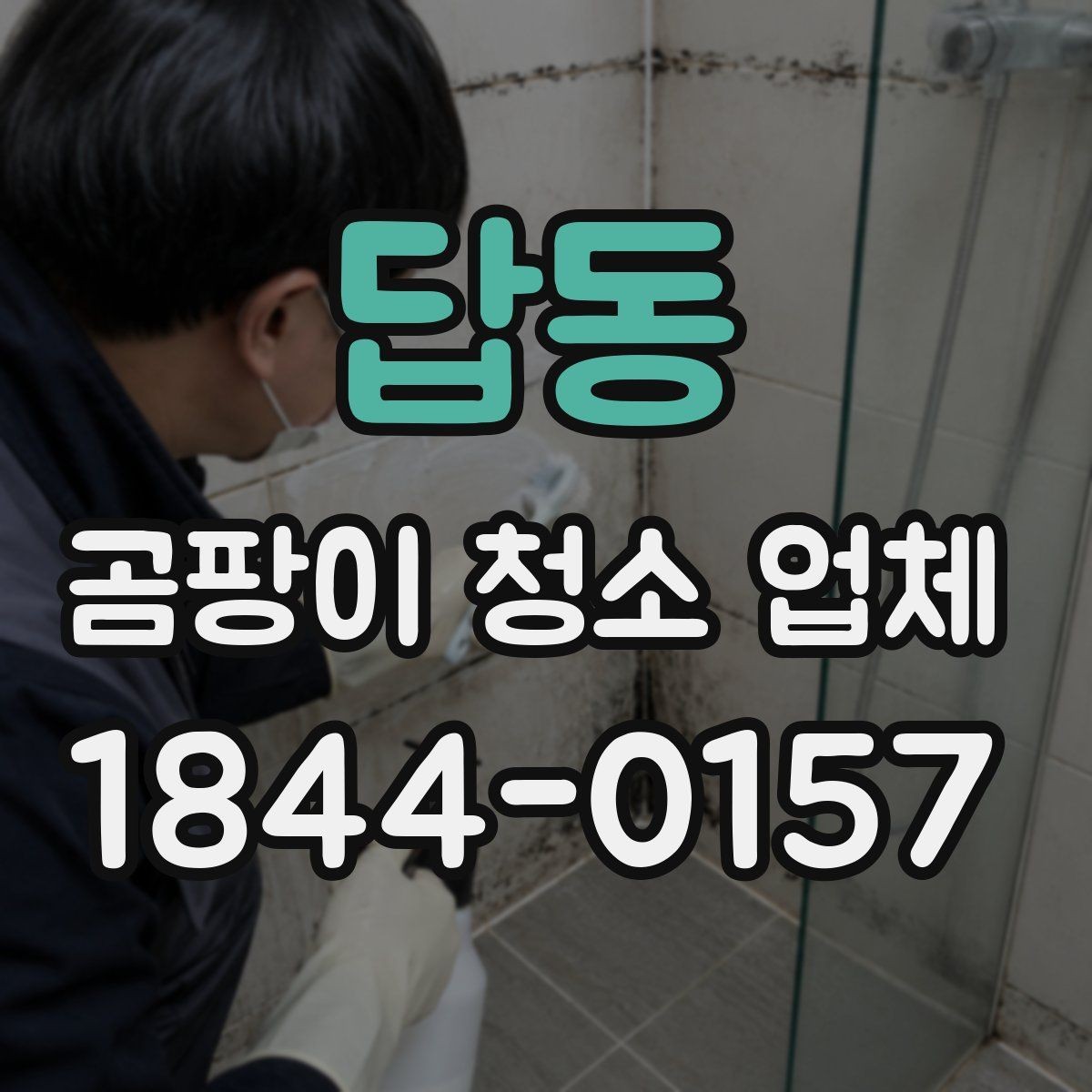 답동 곰팡이 청소 업체 커튼 곰팡이 제거와 교체 기준은 무엇일까