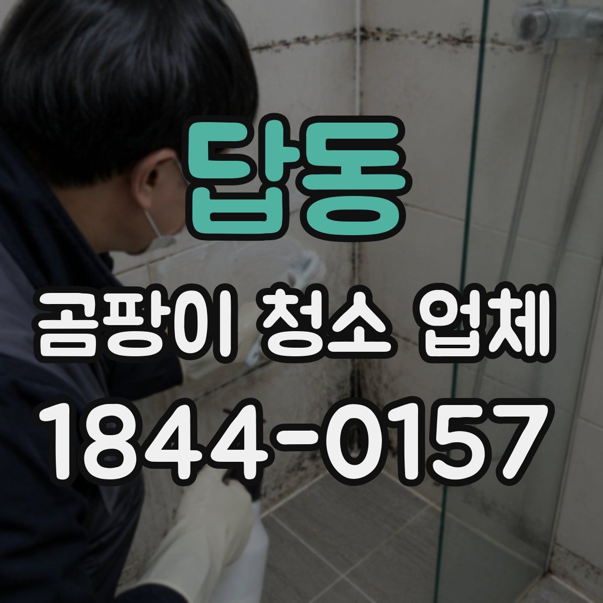 답동 곰팡이 청소 업체