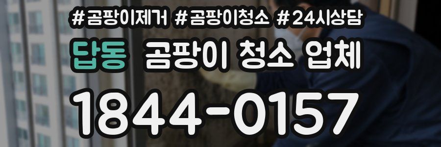 답동 곰팡이 청소 업체