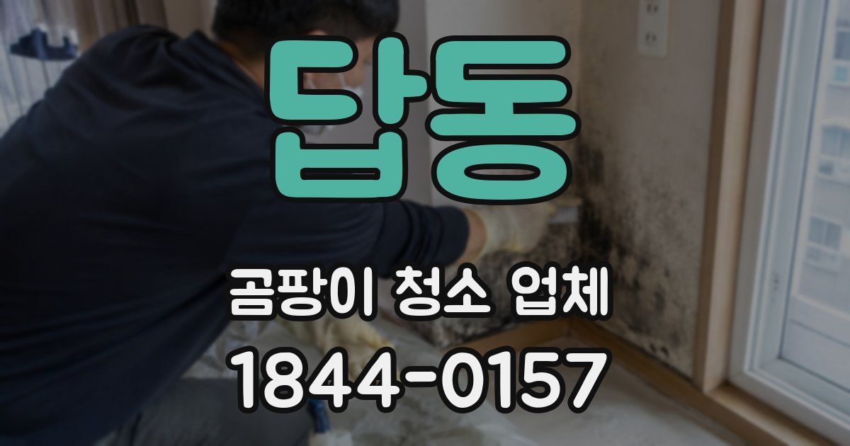 답동 곰팡이 청소 업체