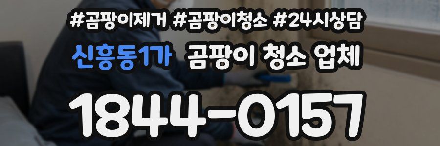 신흥동1가 곰팡이 청소 업체