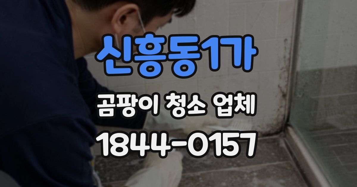 신흥동1가 곰팡이 청소 업체
