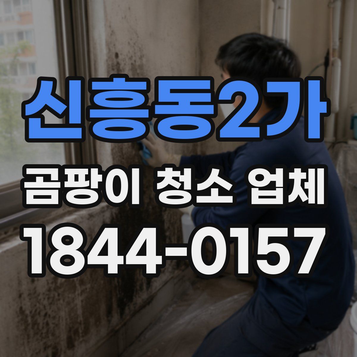 신흥동2가 곰팡이 청소 업체