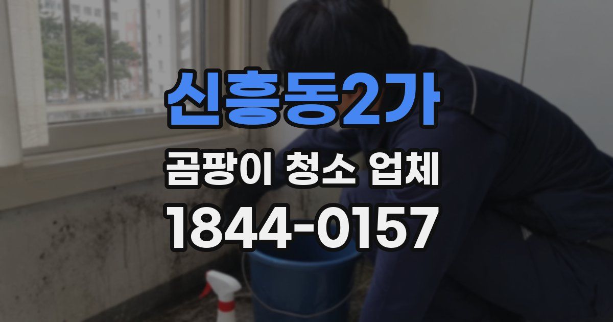 신흥동2가 곰팡이 청소 업체
