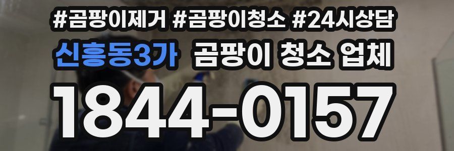 신흥동3가 곰팡이 청소 업체