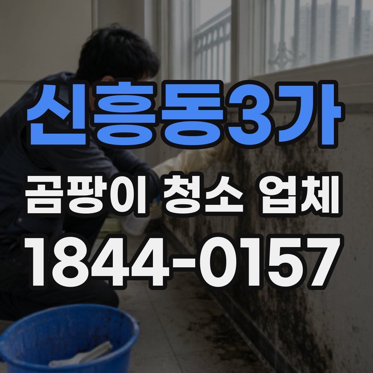 신흥동3가 곰팡이 청소 업체