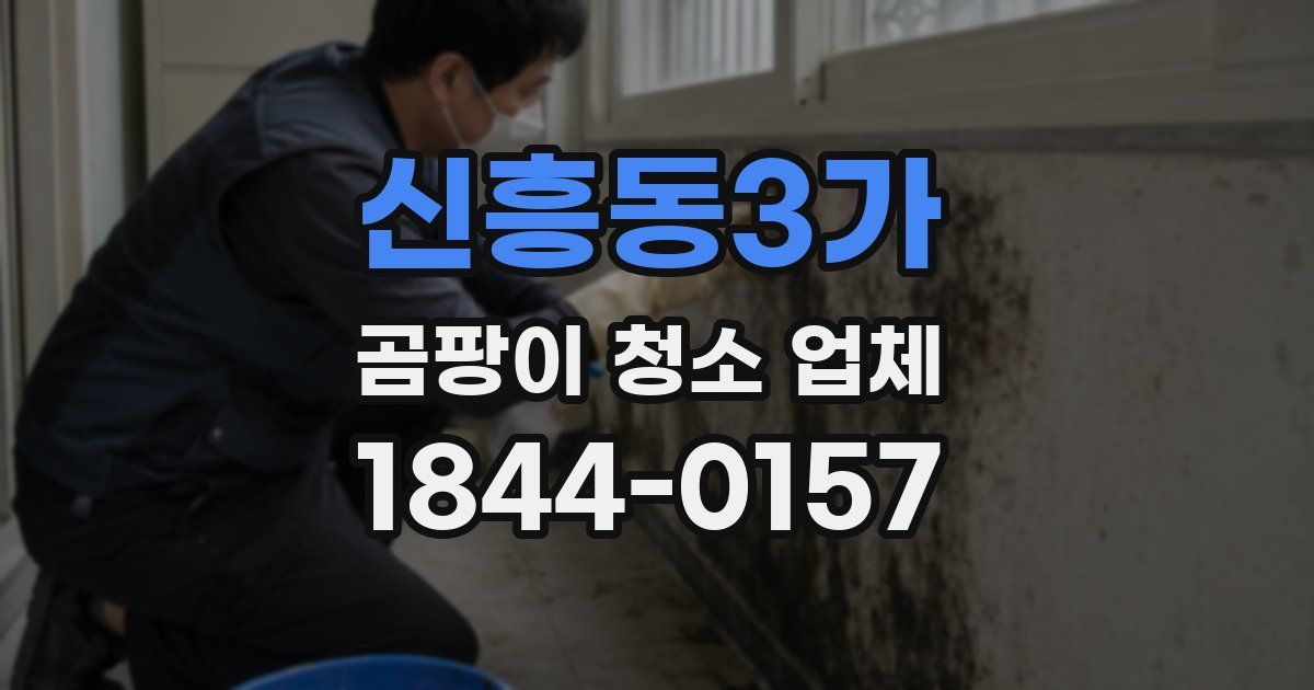 신흥동3가 곰팡이 청소 업체