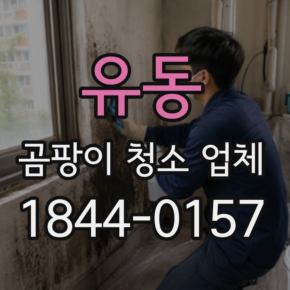 유동 곰팡이 청소 업체