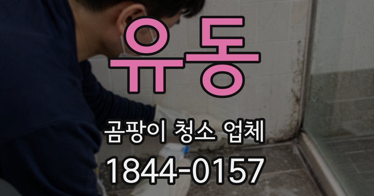 유동 곰팡이 청소 업체