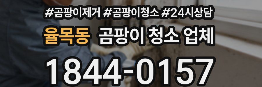 율목동 곰팡이 청소 업체
