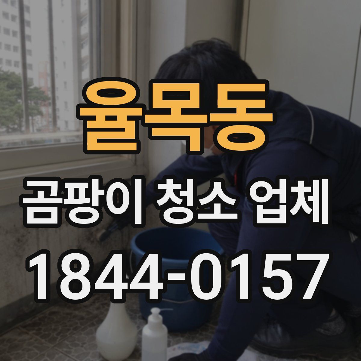 율목동 곰팡이 청소 업체