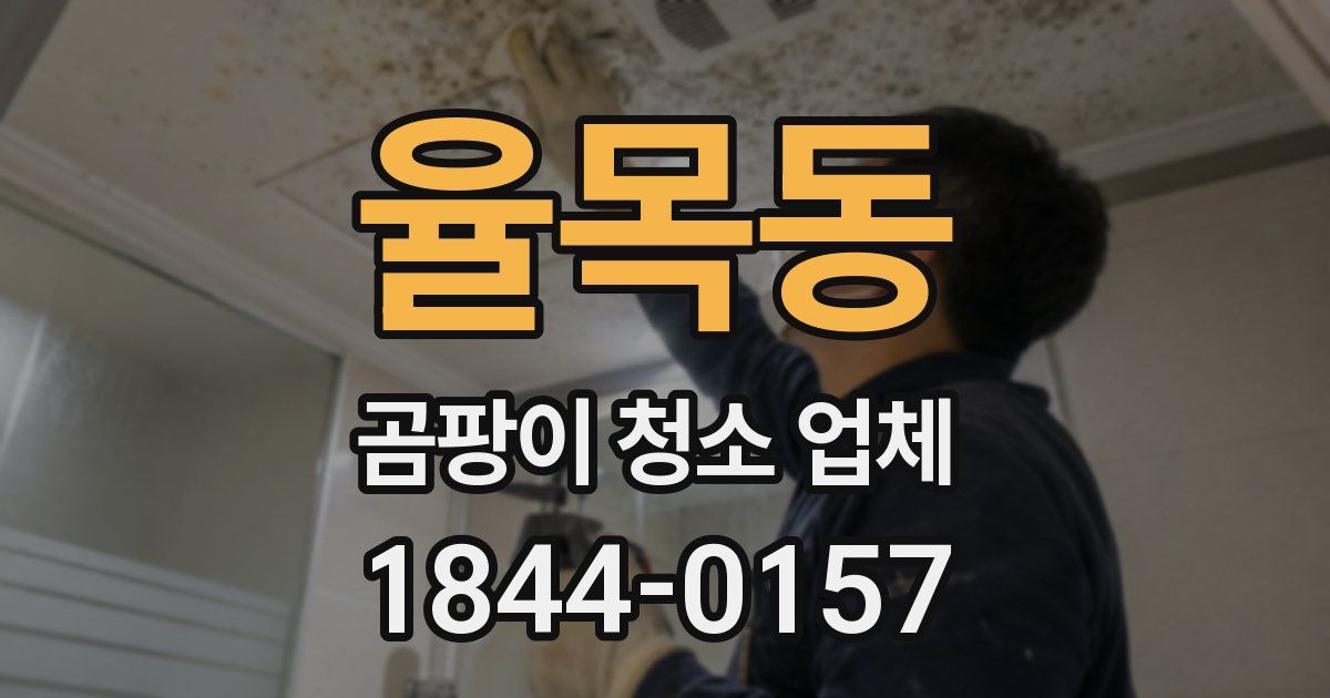 율목동 곰팡이 청소 업체
