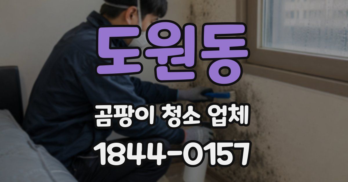 도원동 곰팡이 청소 업체