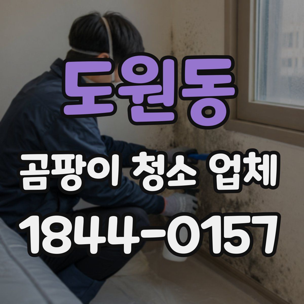 도원동 곰팡이 청소 업체