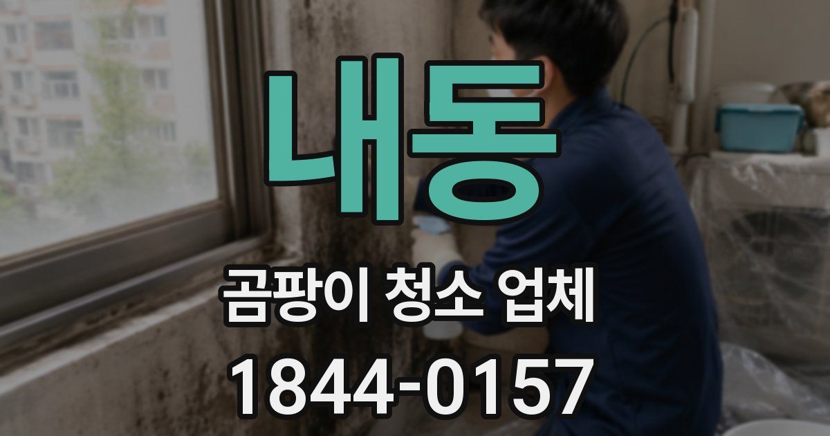 내동 곰팡이 청소 업체