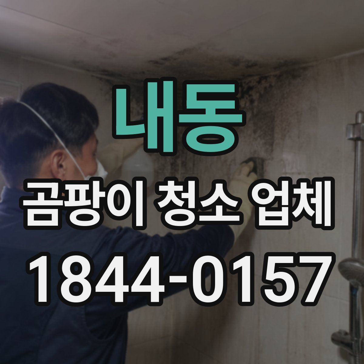 내동 곰팡이 청소 업체