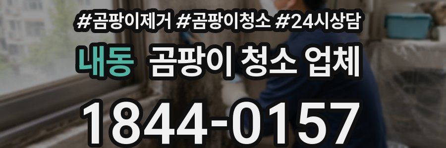 내동 곰팡이 청소 업체