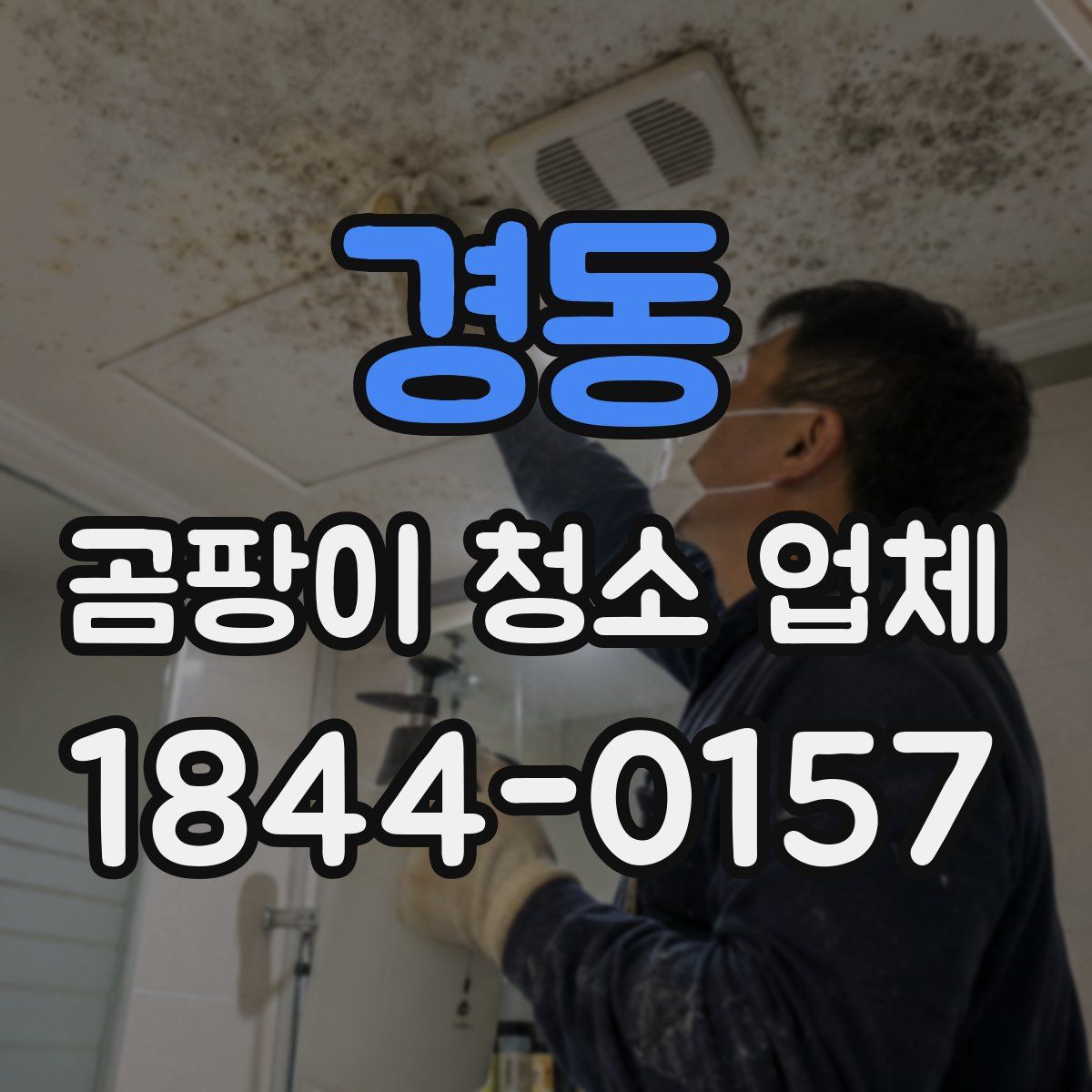 경동 곰팡이 청소 업체