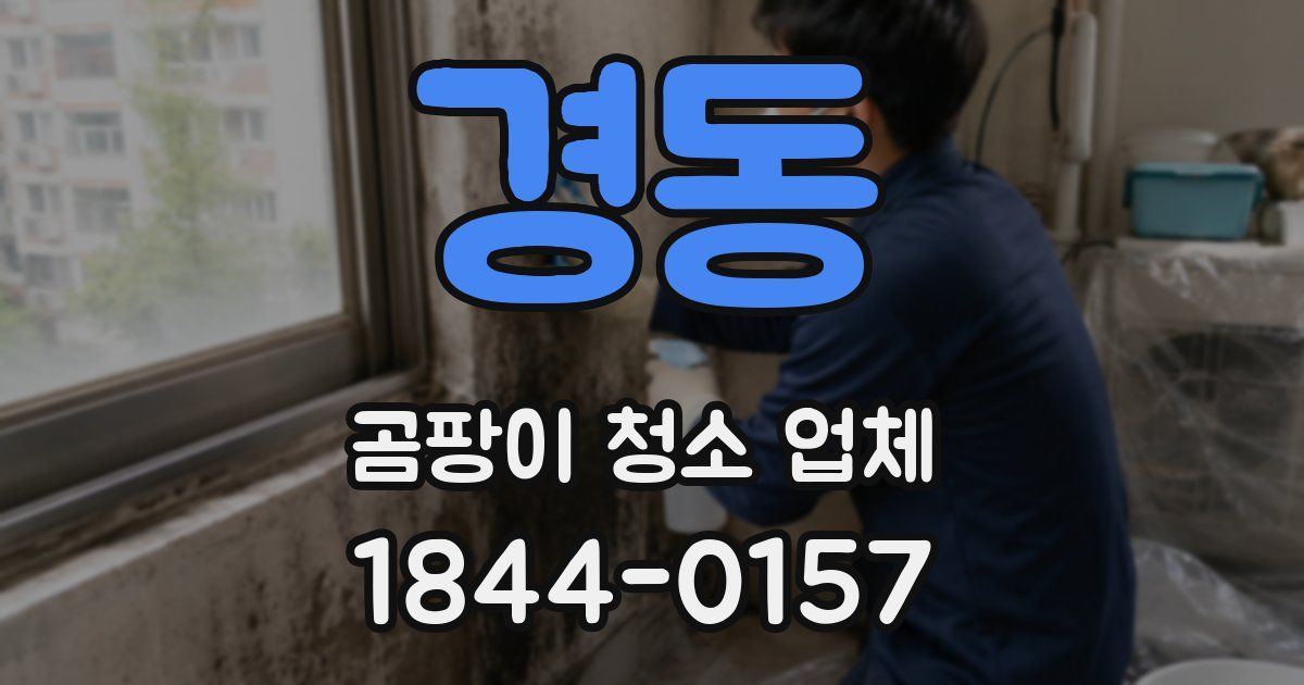 경동 곰팡이 청소 업체