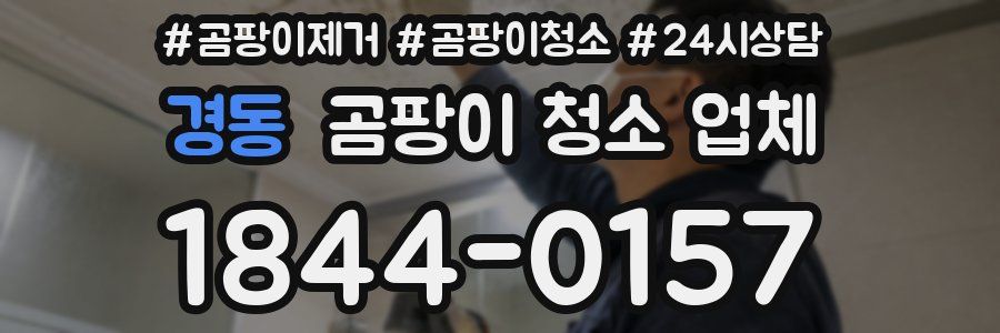 경동 곰팡이 청소 업체