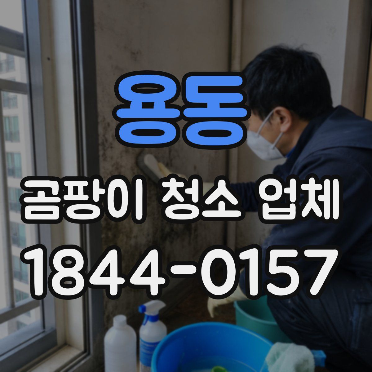 용동 곰팡이 청소 업체