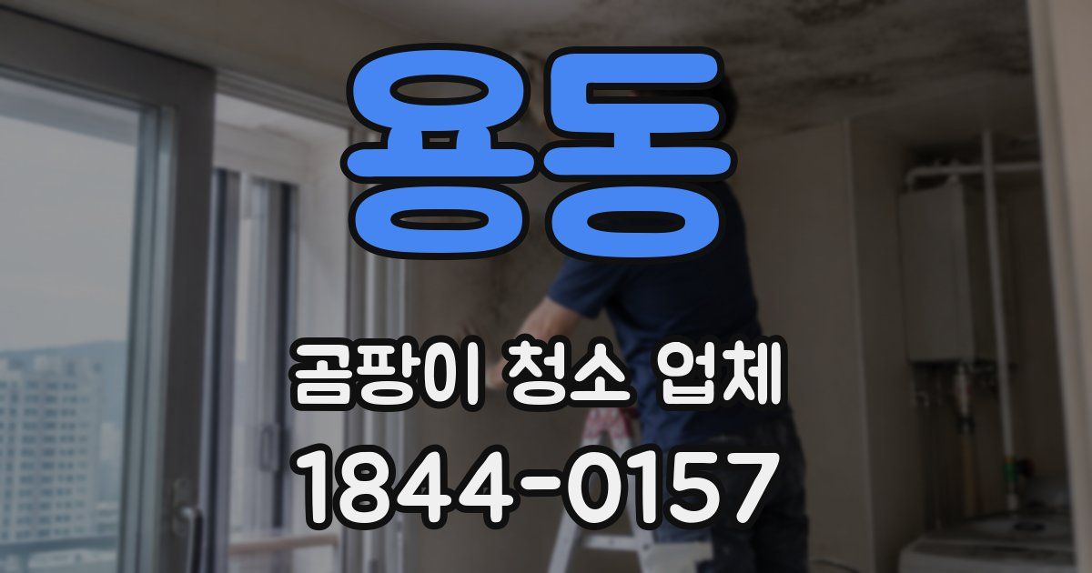 용동 곰팡이 청소 업체