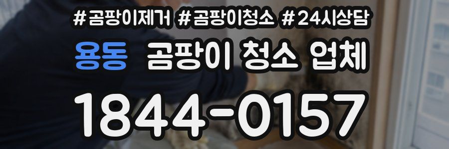 용동 곰팡이 청소 업체