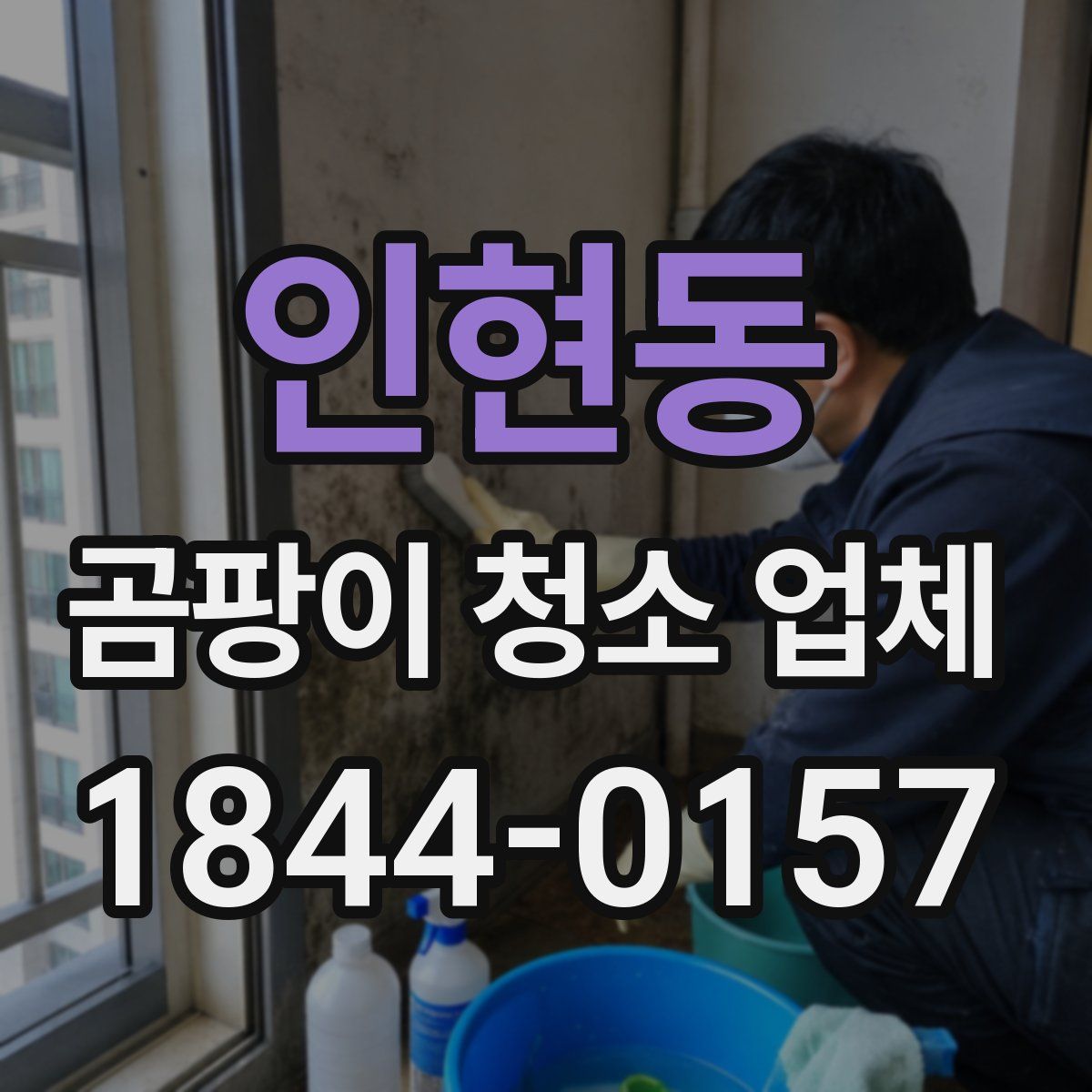 인현동 곰팡이 청소 업체