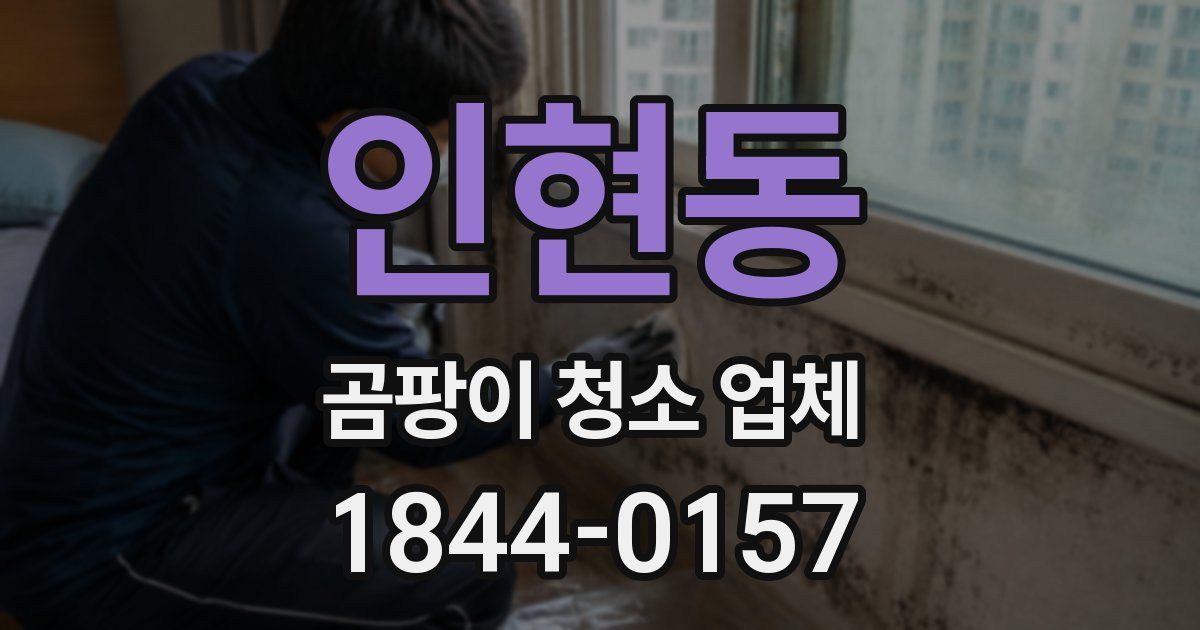 인현동 곰팡이 청소 업체