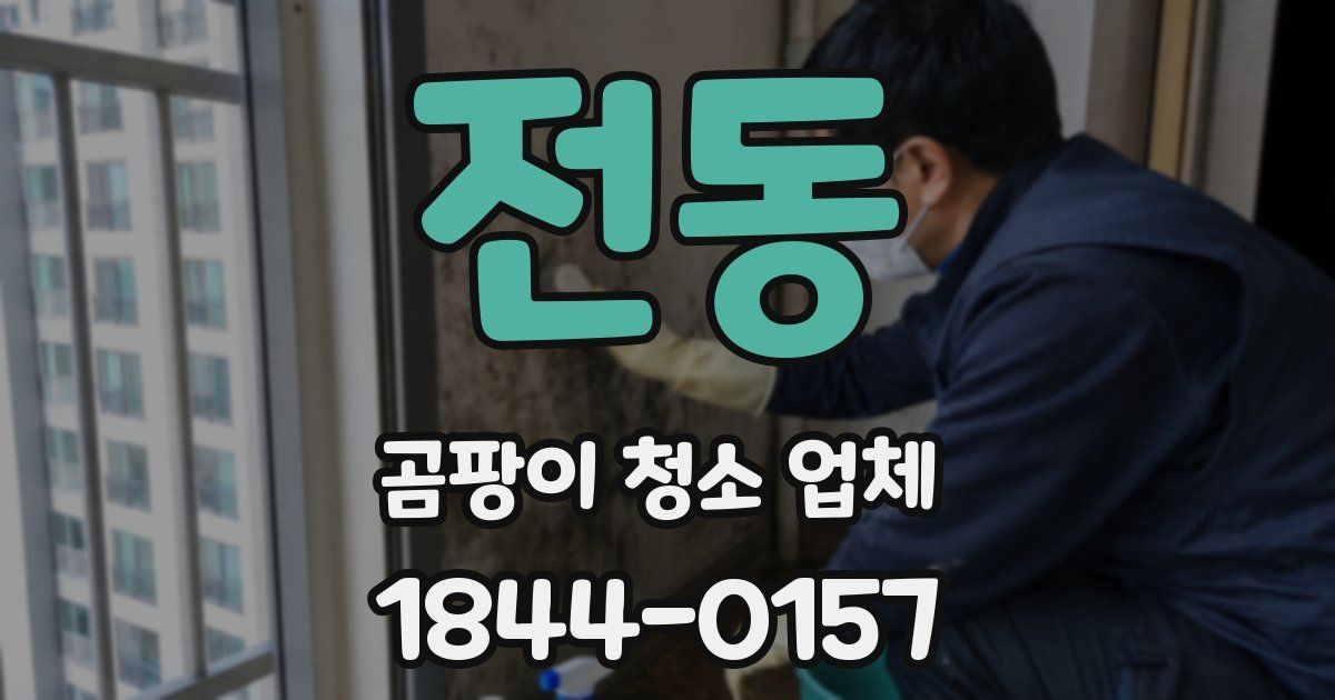 전동 곰팡이 청소 업체