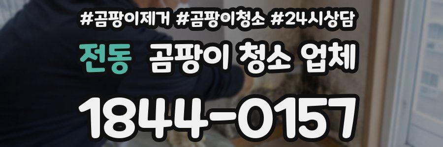 전동 곰팡이 청소 업체