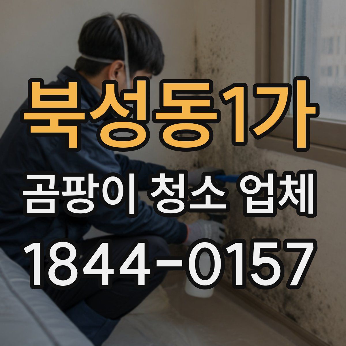 북성동1가 곰팡이 청소 업체