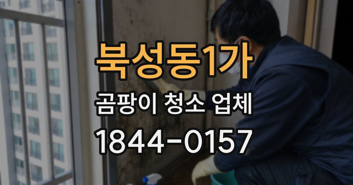 북성동1가 곰팡이 청소 업체