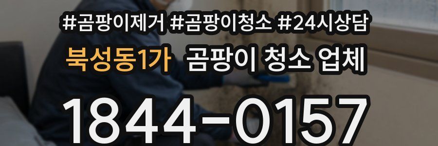 북성동1가 곰팡이 청소 업체
