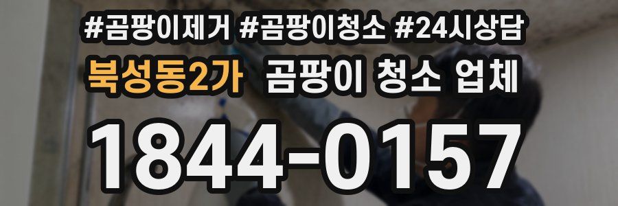 북성동2가 곰팡이 청소 업체