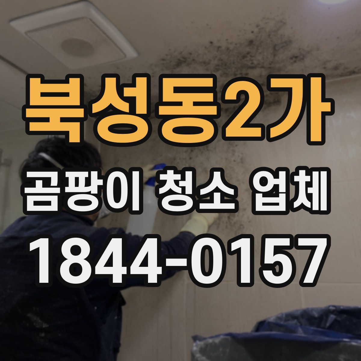 북성동2가 곰팡이 청소 업체