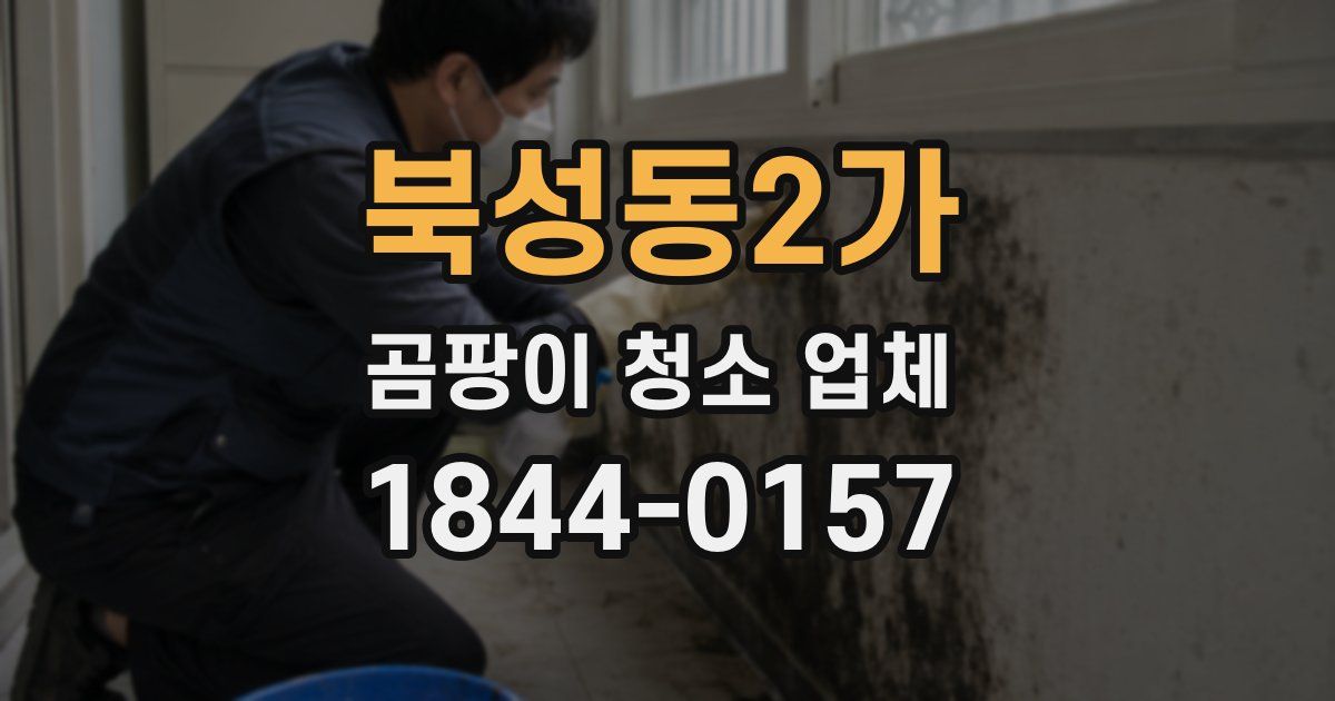 북성동2가 곰팡이 청소 업체