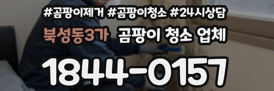 북성동3가 곰팡이 청소 업체