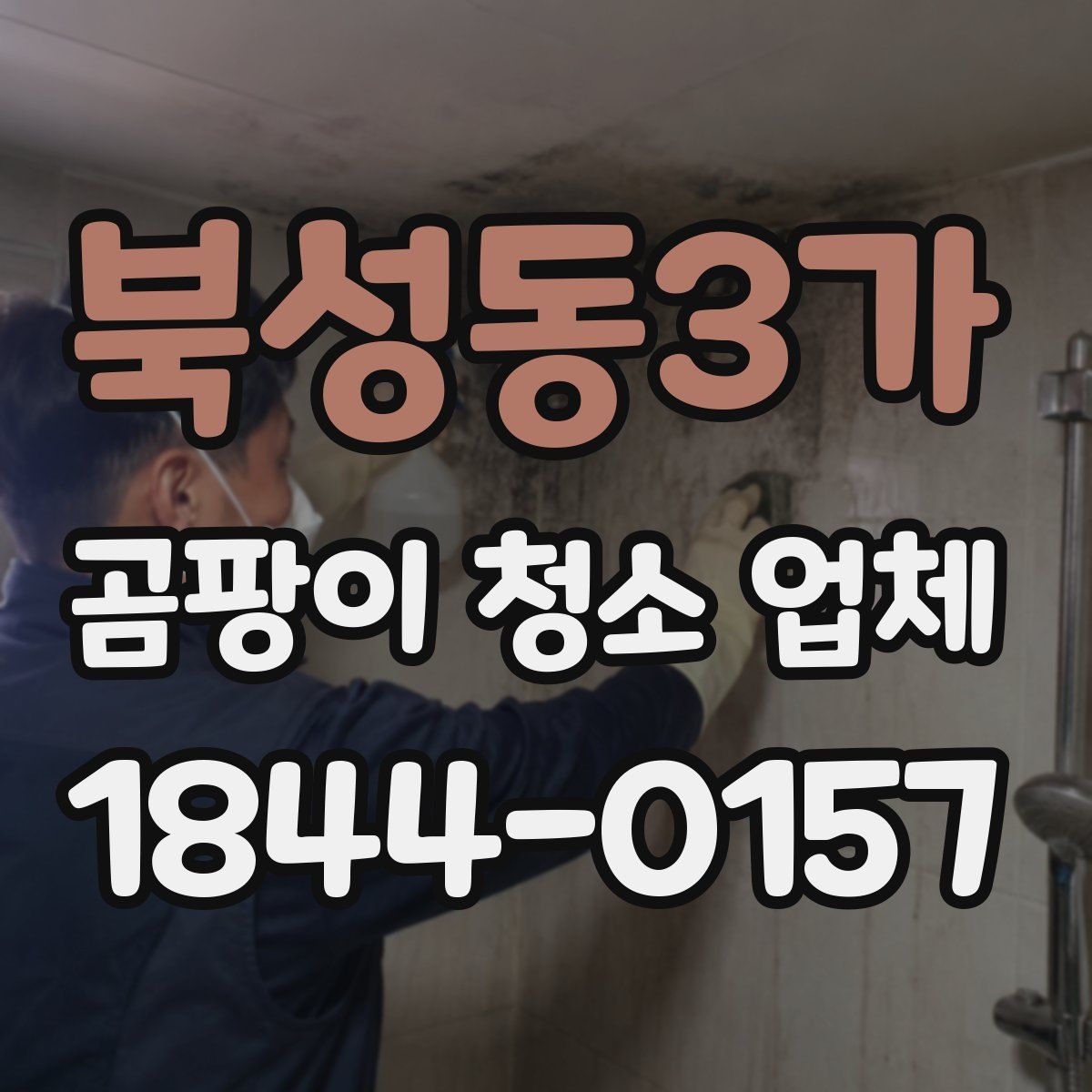북성동3가 곰팡이 청소 업체