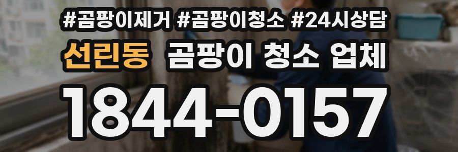 선린동 곰팡이 청소 업체